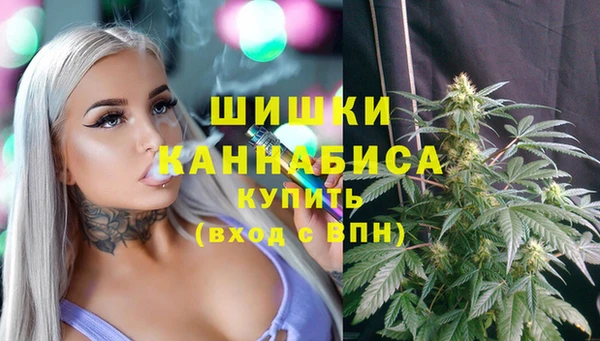 мет Протвино