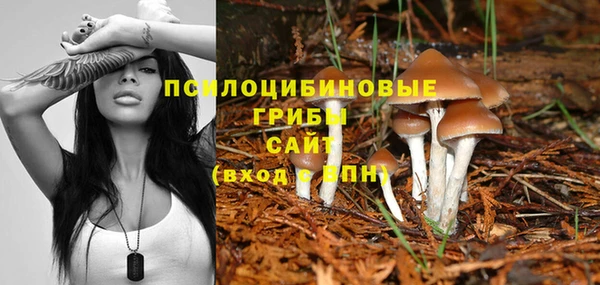 не бодяженный Абинск